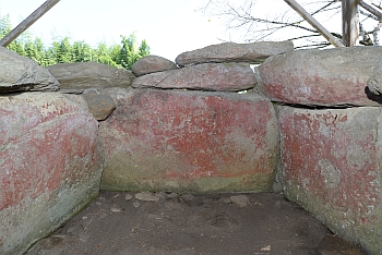 20250919saizon oku.jpg(147448 byte)